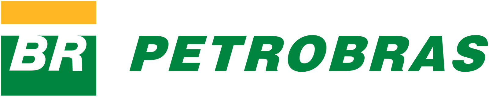 Processo Seletivo Petrobras logo